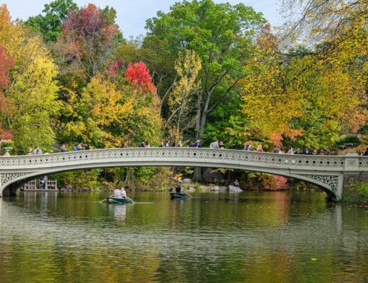 a bridge over a body of water surrounded by trees